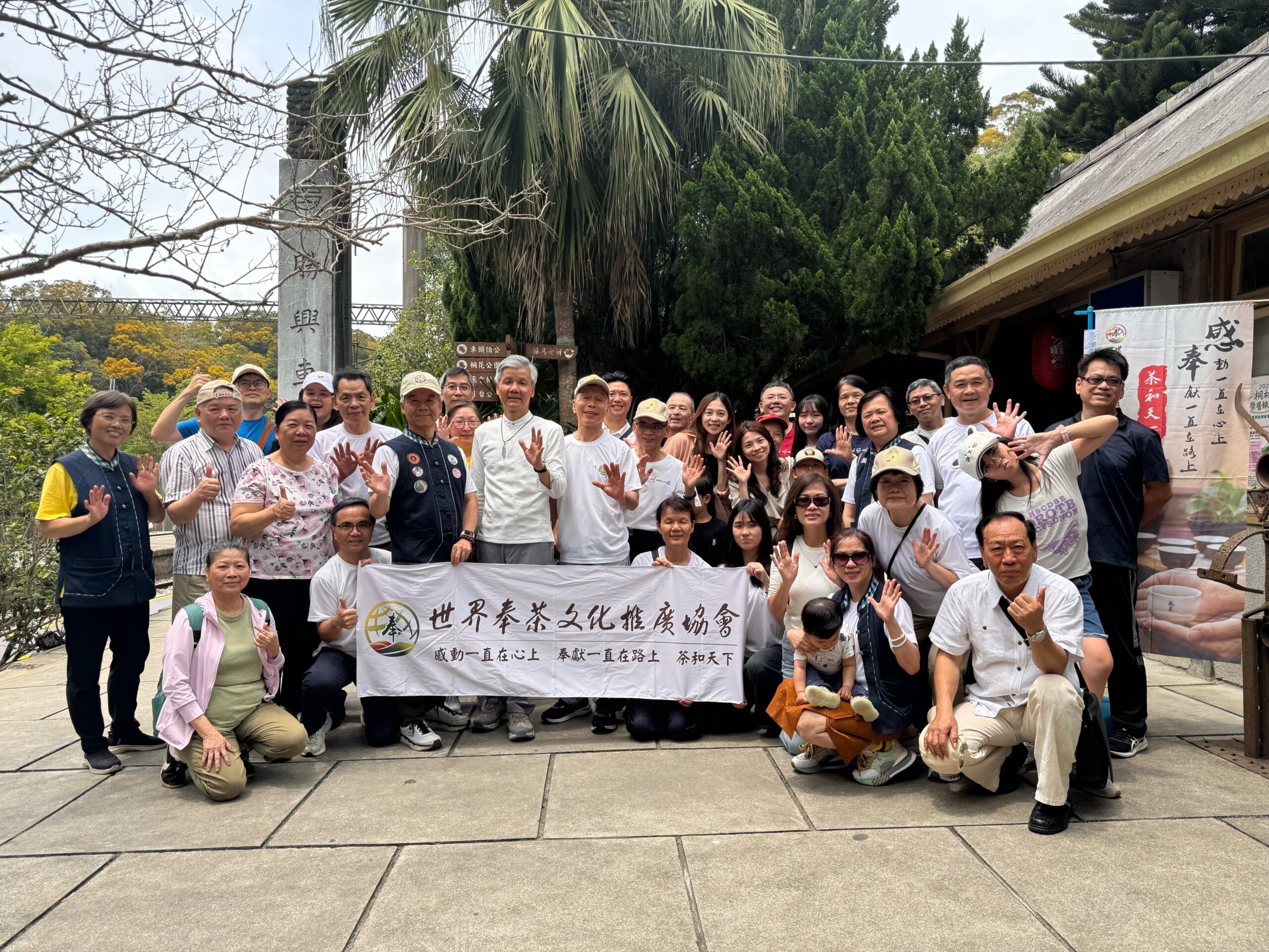 桐花開53奉茶行